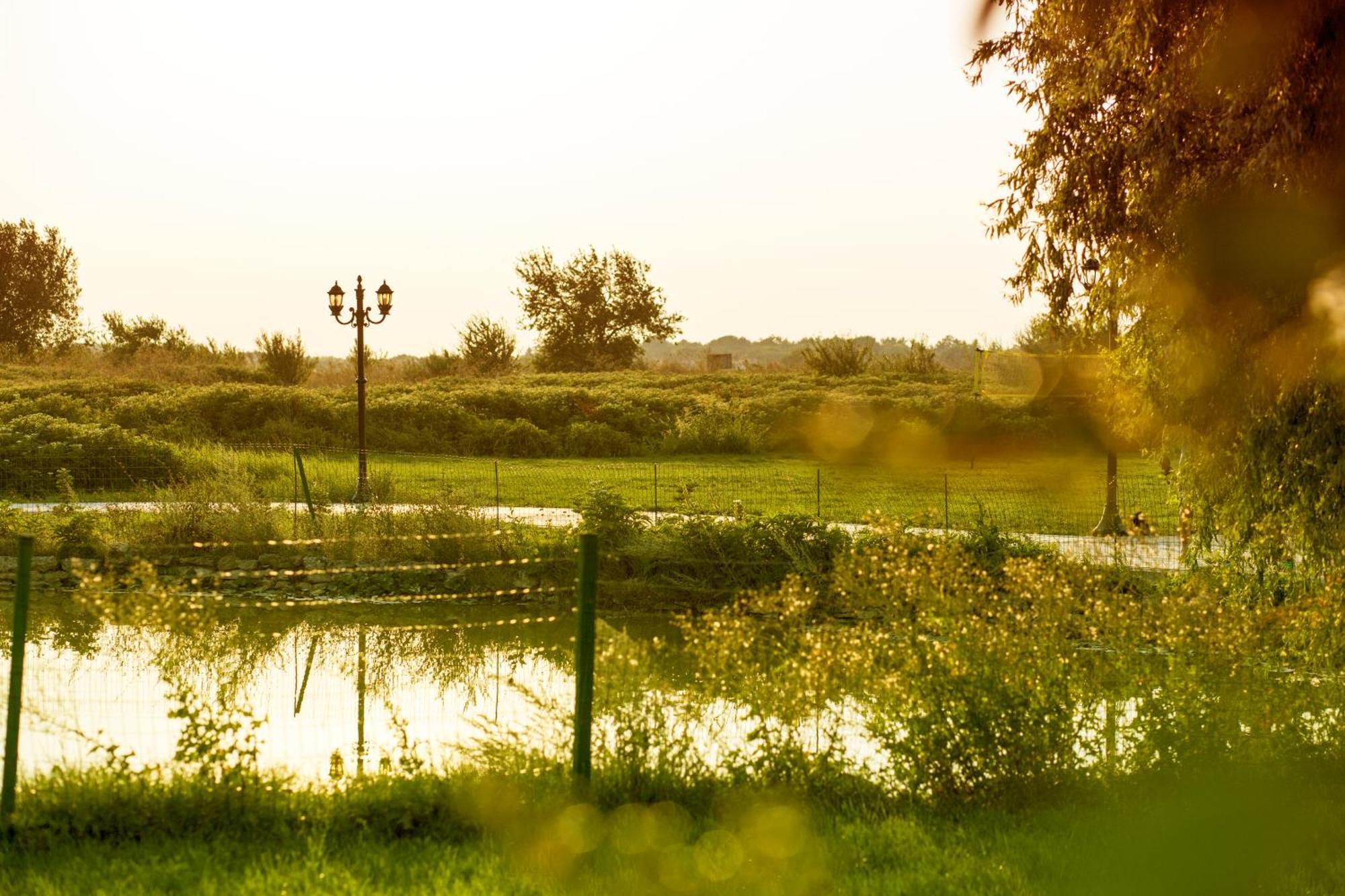 Kaliakria Resort Topola Exteriér fotografie
